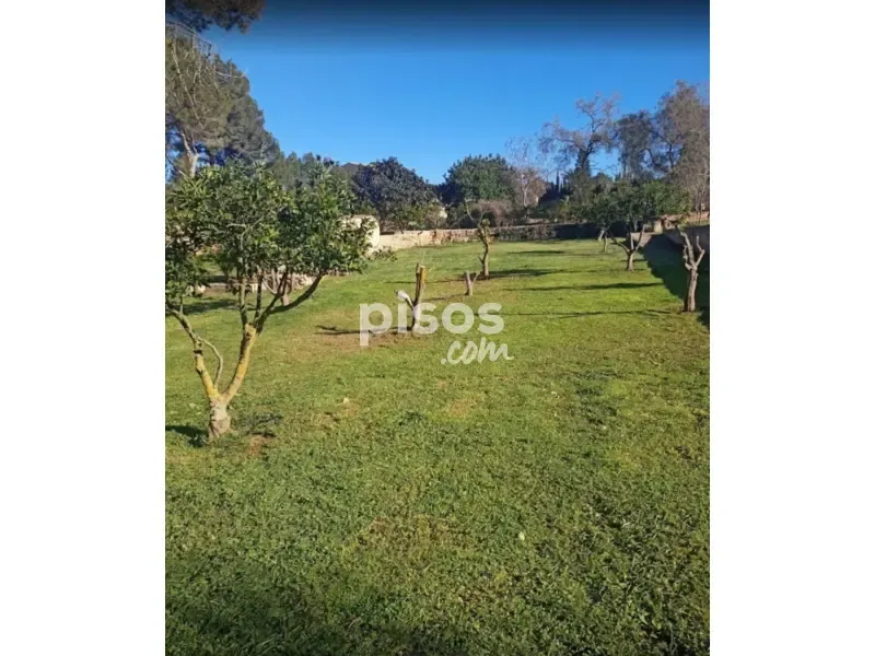 Jardin - Finca with Pool and Views in S'Aranjassa