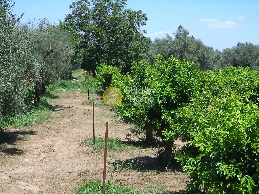 Jardin - Plot with Sea View in Diakopto - Elia