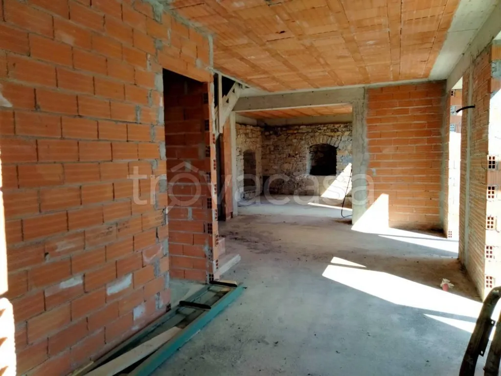 Toad - Rustic Villa with Olive Grove in Diano San Pietro