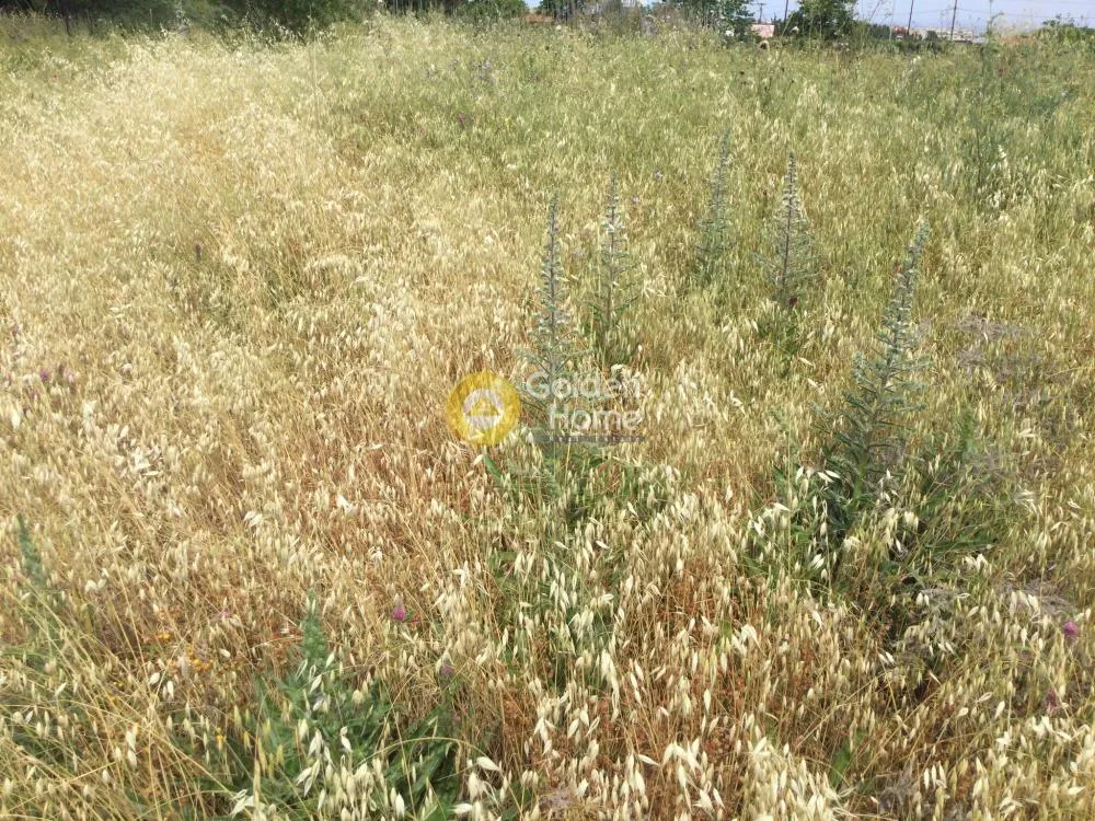 Giardino - Agricultural Plot with Unobstructed View in Thermiakos