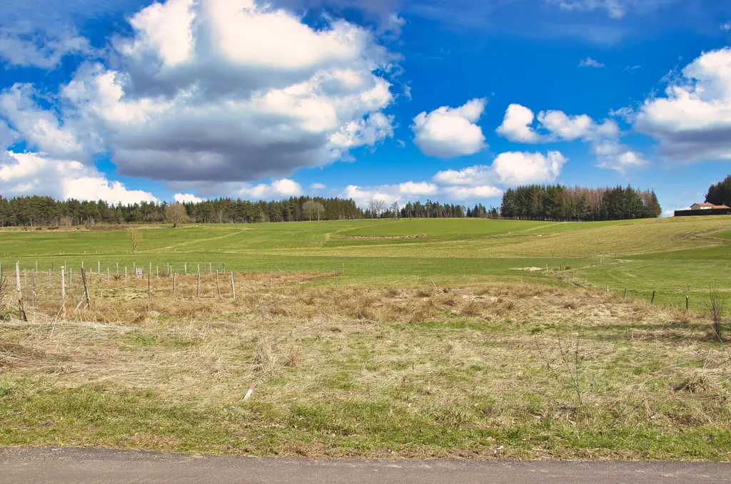 Aed - Constructible Plot in Montregard Hamlet