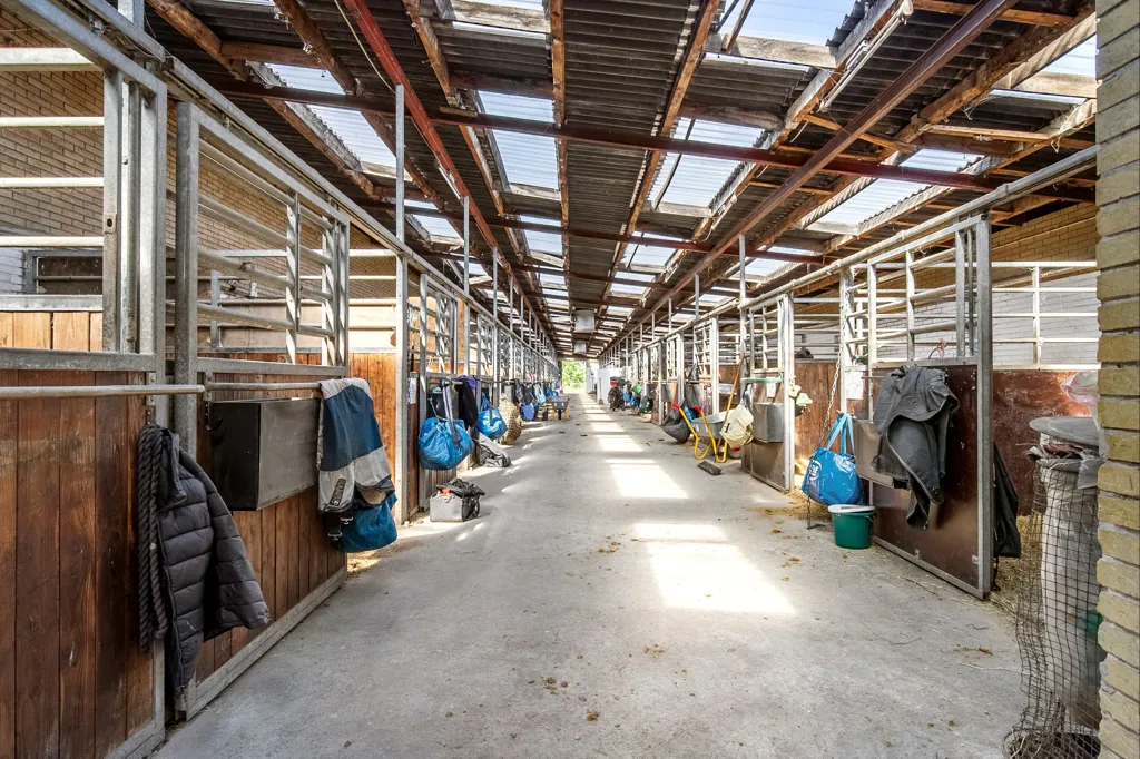 Giardino - Ride Centre with Stables near True Skov