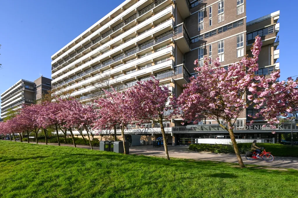 4-toaline korter asukohas Rijswijk (ZH)