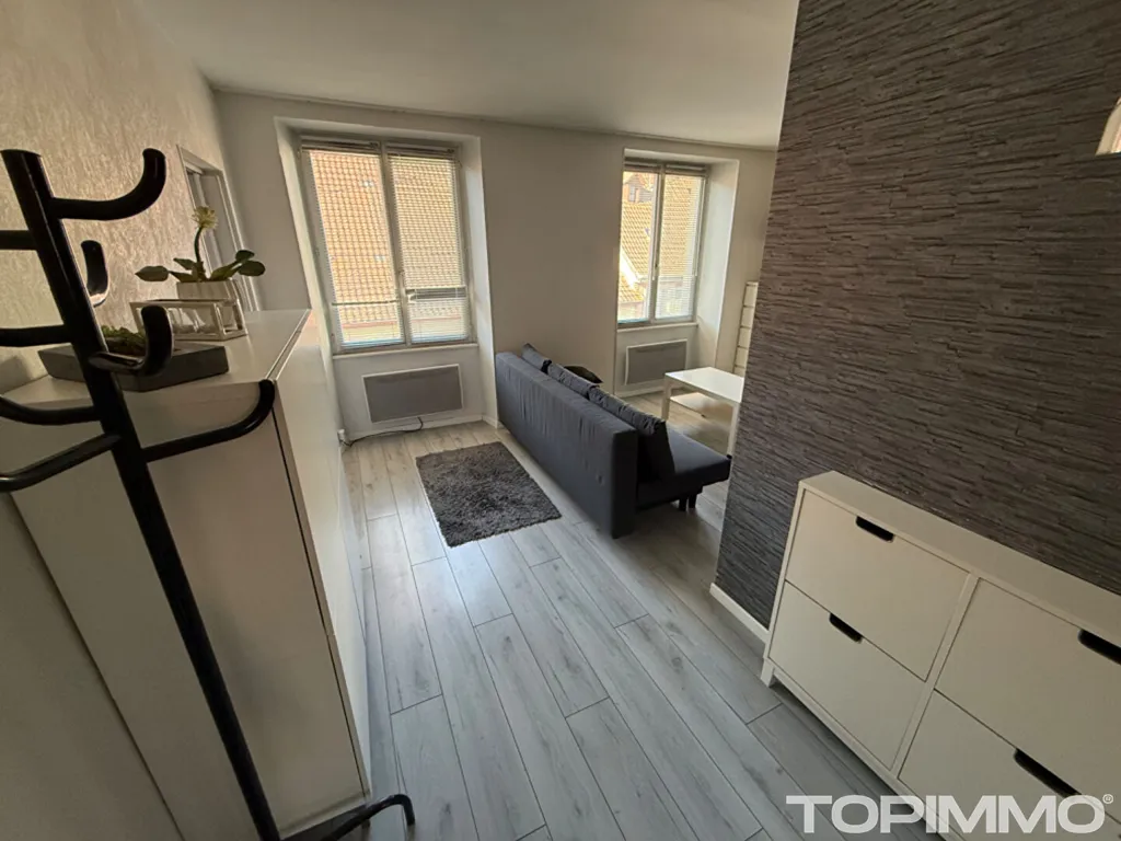 Séjour - Appartement Meublé 2 Pièces à Thann