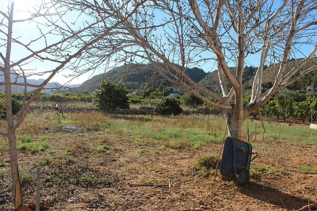 land_plot