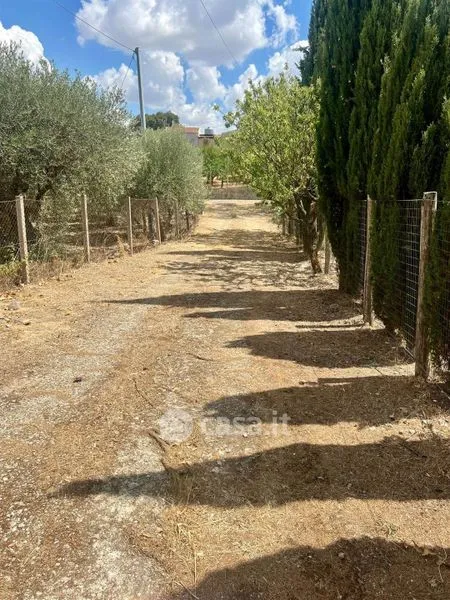 Jardin - Villa with Garden in San Cataldo
