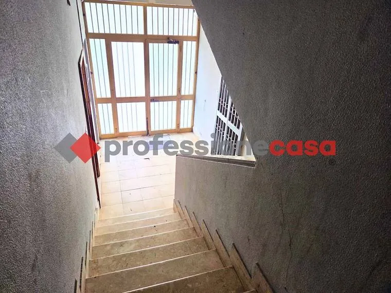 Toad - 2-Bedroom Apartment near Piazza Risorgimento, Catania