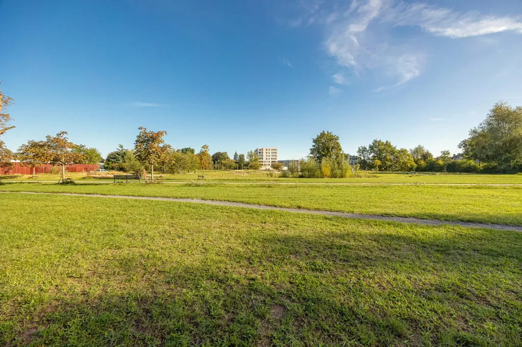 Jardín - Sustainable Apartment with Terrace in Mortsel
