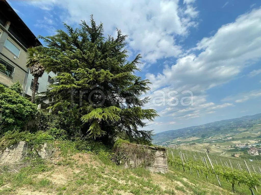 Jardin - Terraced House with Panoramic Views in La Morra