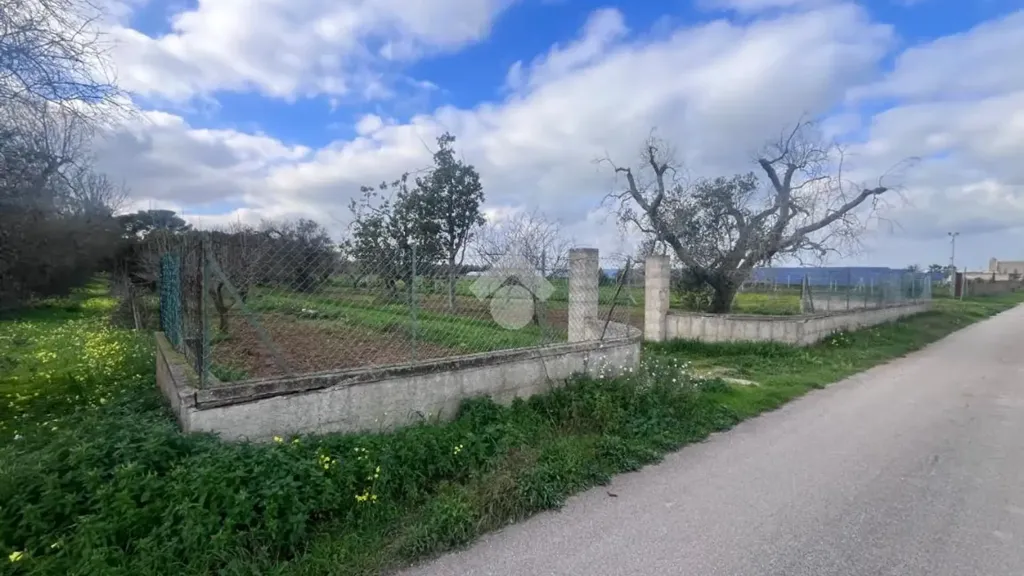 Garden - Rustic Villa with Garden in Mesagne