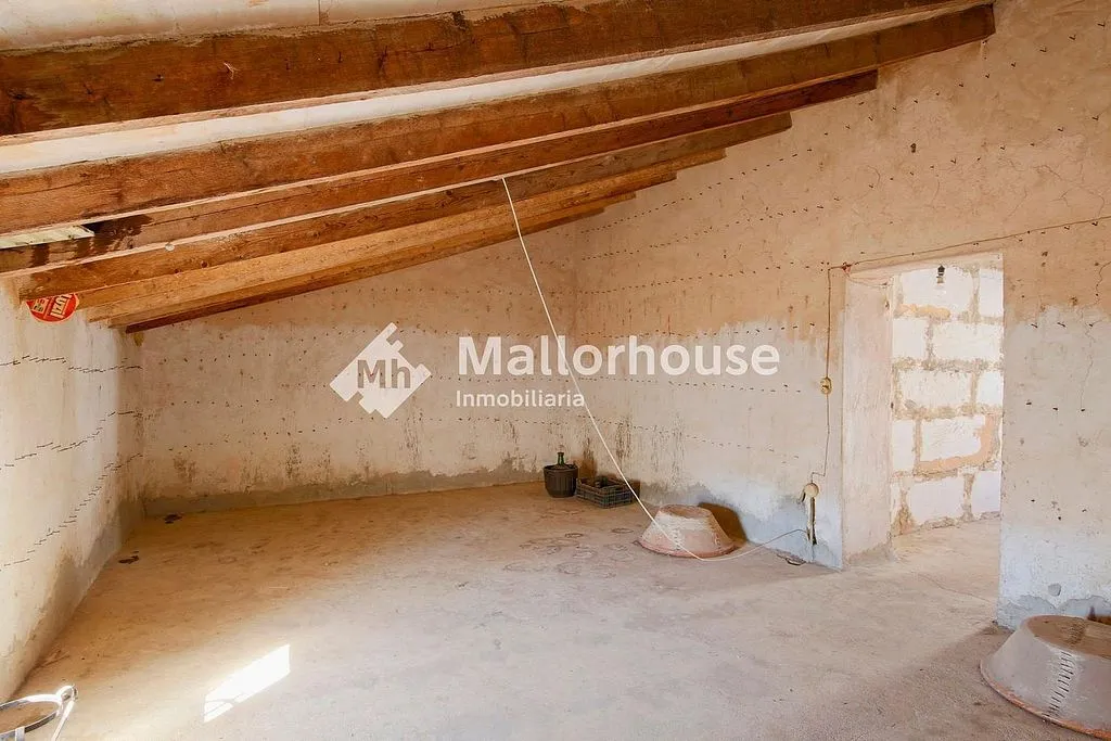 Toad - Mallorcan Chalet with Terrace in Ariany