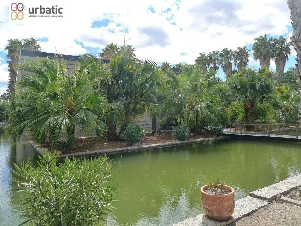 Luxury Detached House with Pool in Gandia