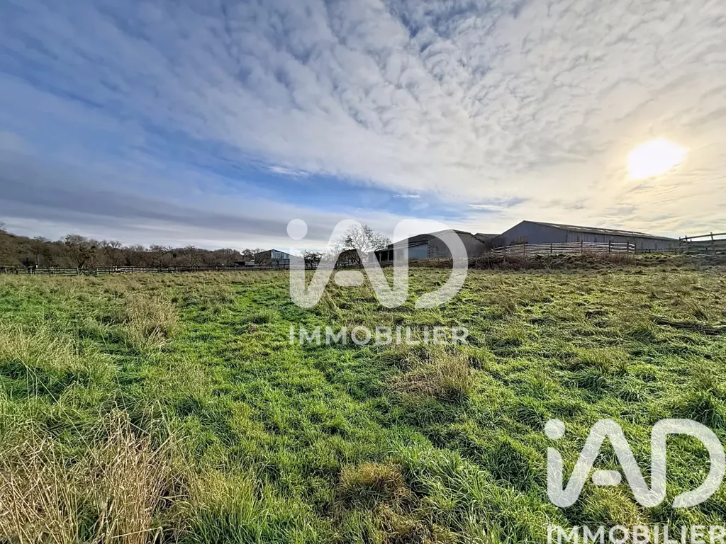 Giardino - Equestrian Domain with House in Nubécourt