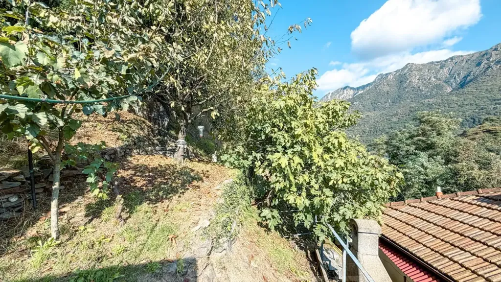 terrace_patio