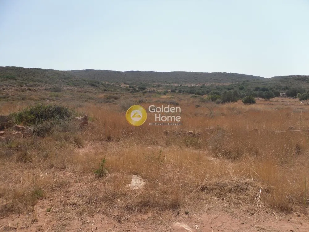 Jardin - Hotel Development Plot with Sea View in Elafonisos