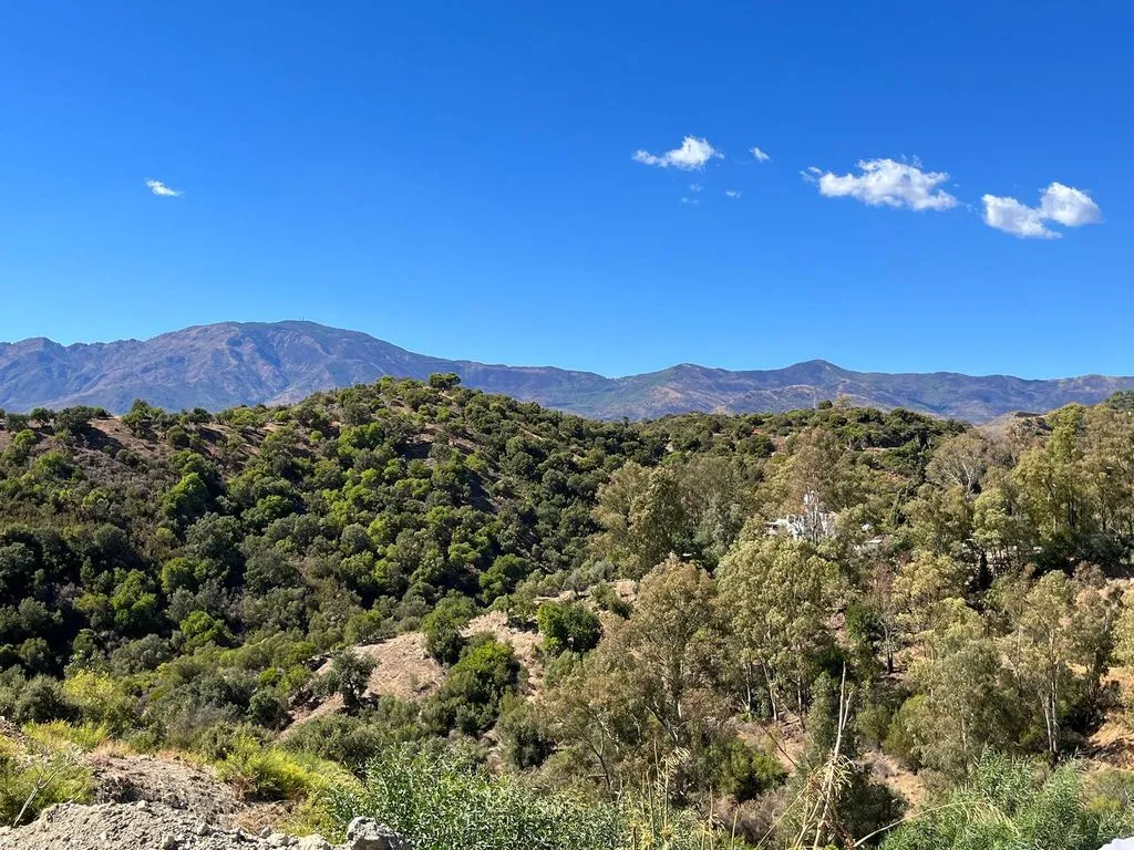 Exclusive Land with Mountain View in Estepona