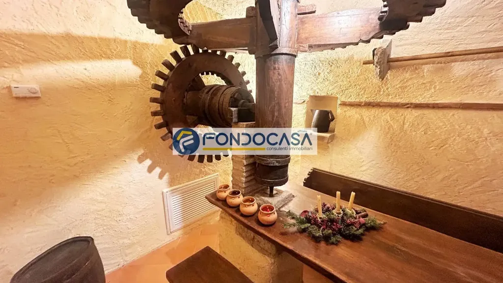Toad - Historic Mill with Garden in Camaiore