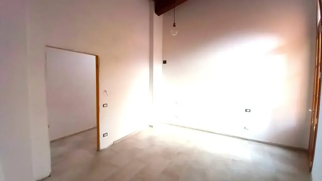 Toad - New Apartment with Private Parking in Vecchiano