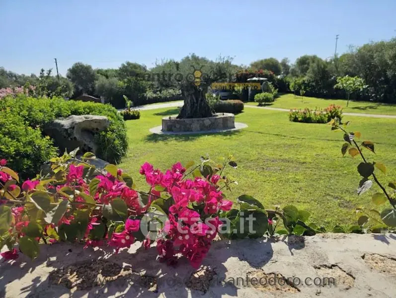 Jardin - Villa with Sea View and Pool in San Teodoro