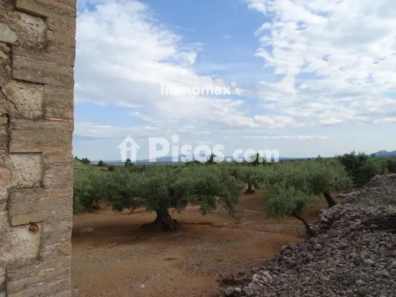 Aed - Rustic Farm with Olive Grove in Xerta