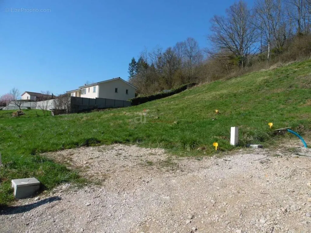 Aed - Viabilised Plot with Verdant Setting in Ain