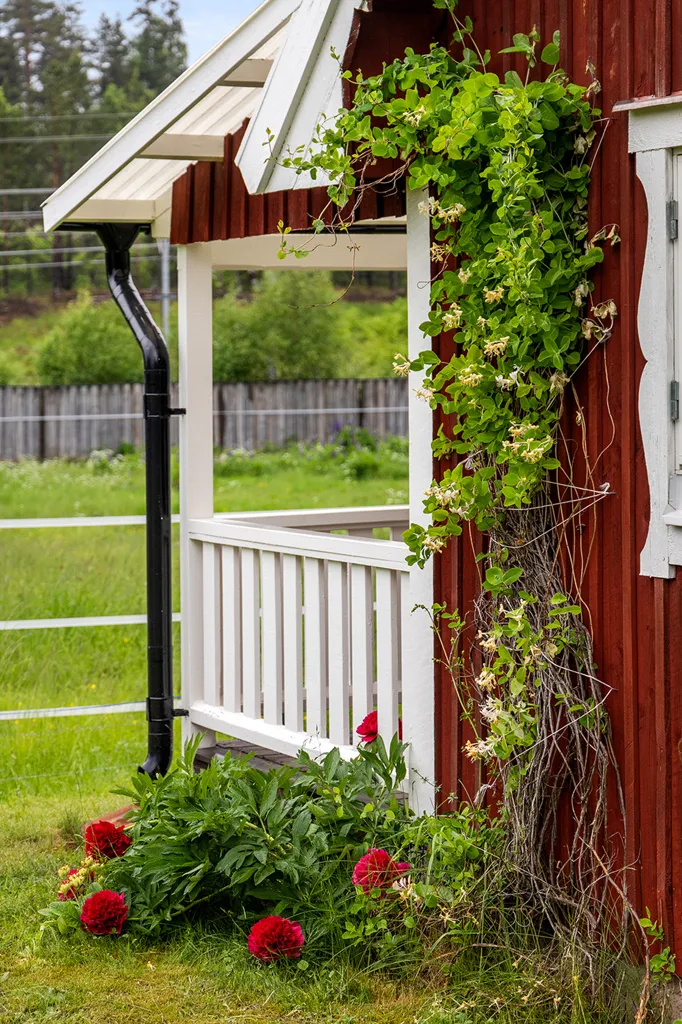 Exterior - Complete Horse Farm with Residence in Rural Area
