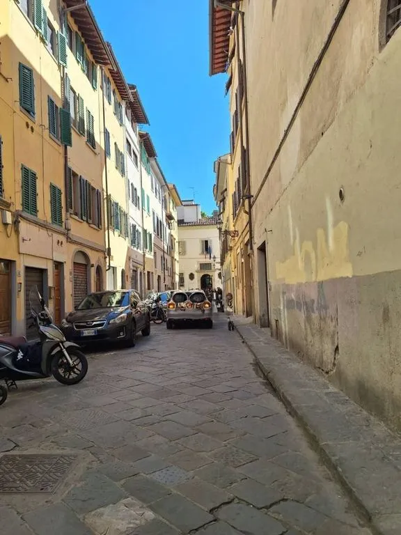 Välivaade - Luxury Apartment with Historic Features in Florence