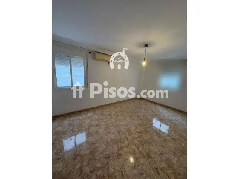 Toad - Spacious Apartment with Garden Access in Elche