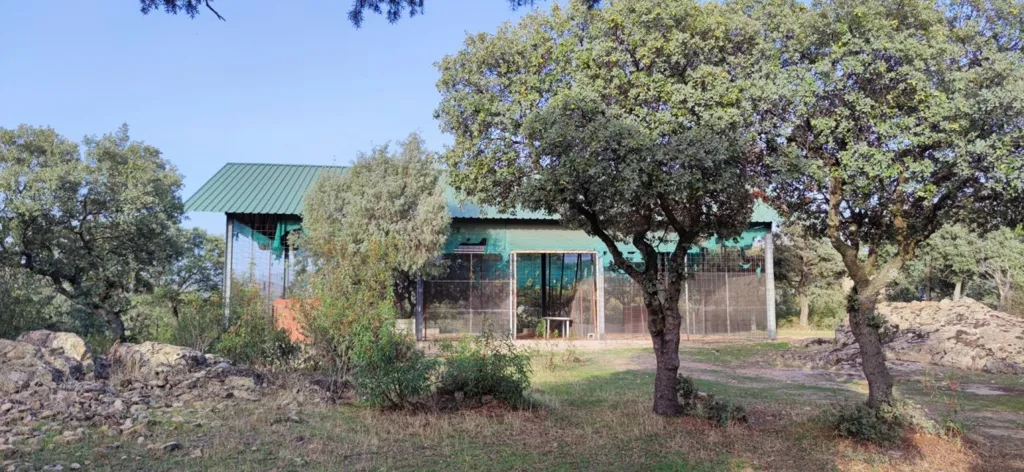 Extérieur - Rustic Plot with Views in Galapagar