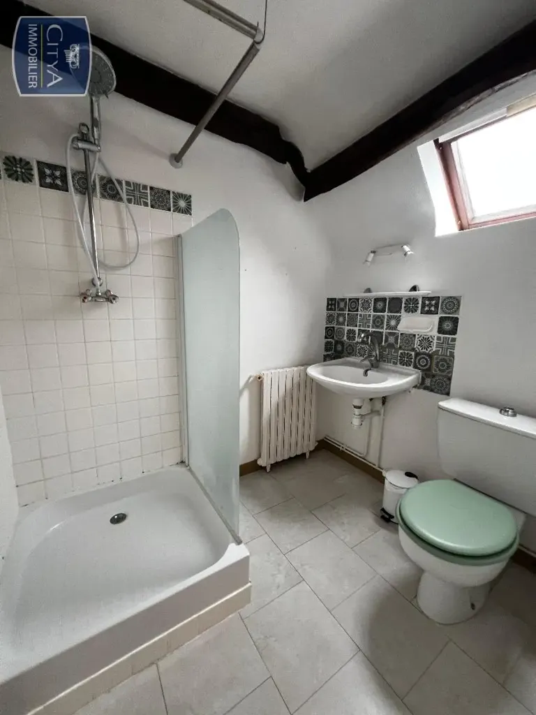 Vannitoad - Mansard Apartment in Le Blanc Centre
