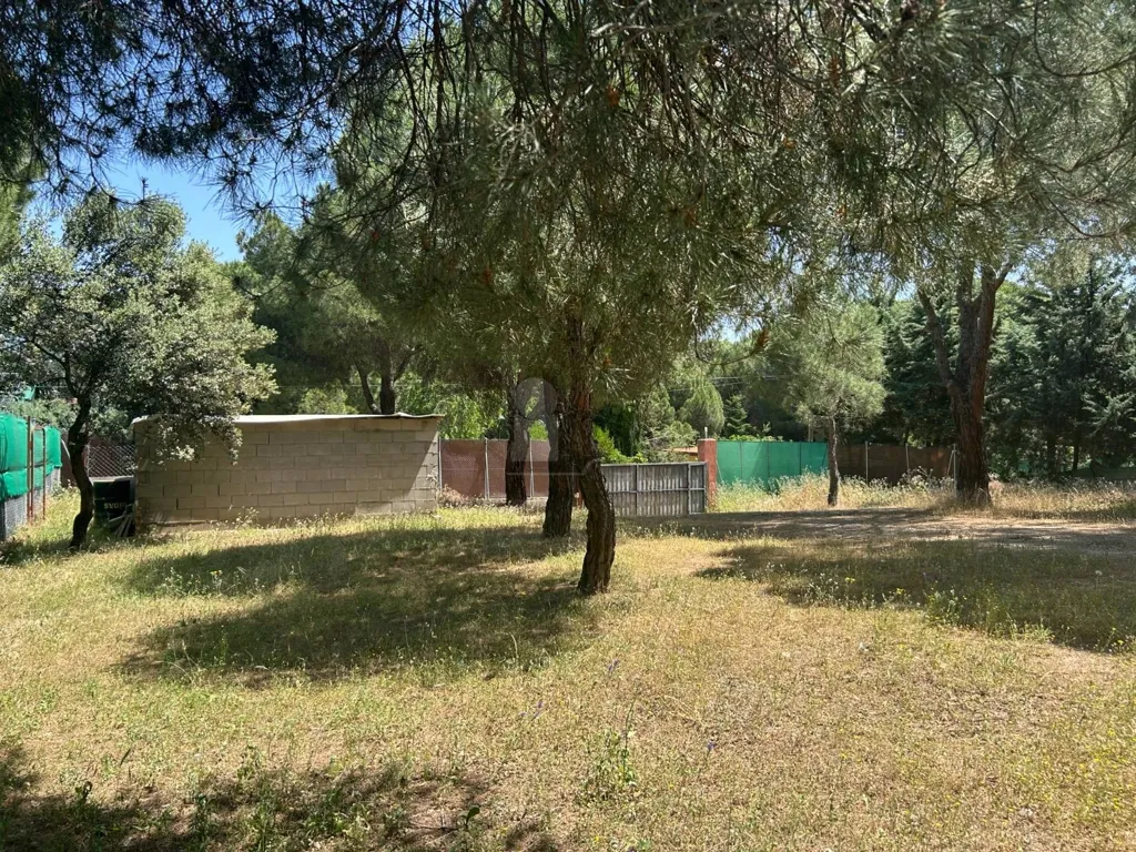 Jardin - Chalet with Pool in Navas del Rey