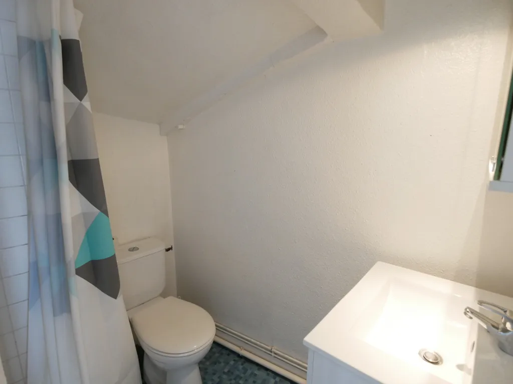 Vannitoad - Studio with Kitchenette in Angers Doutre