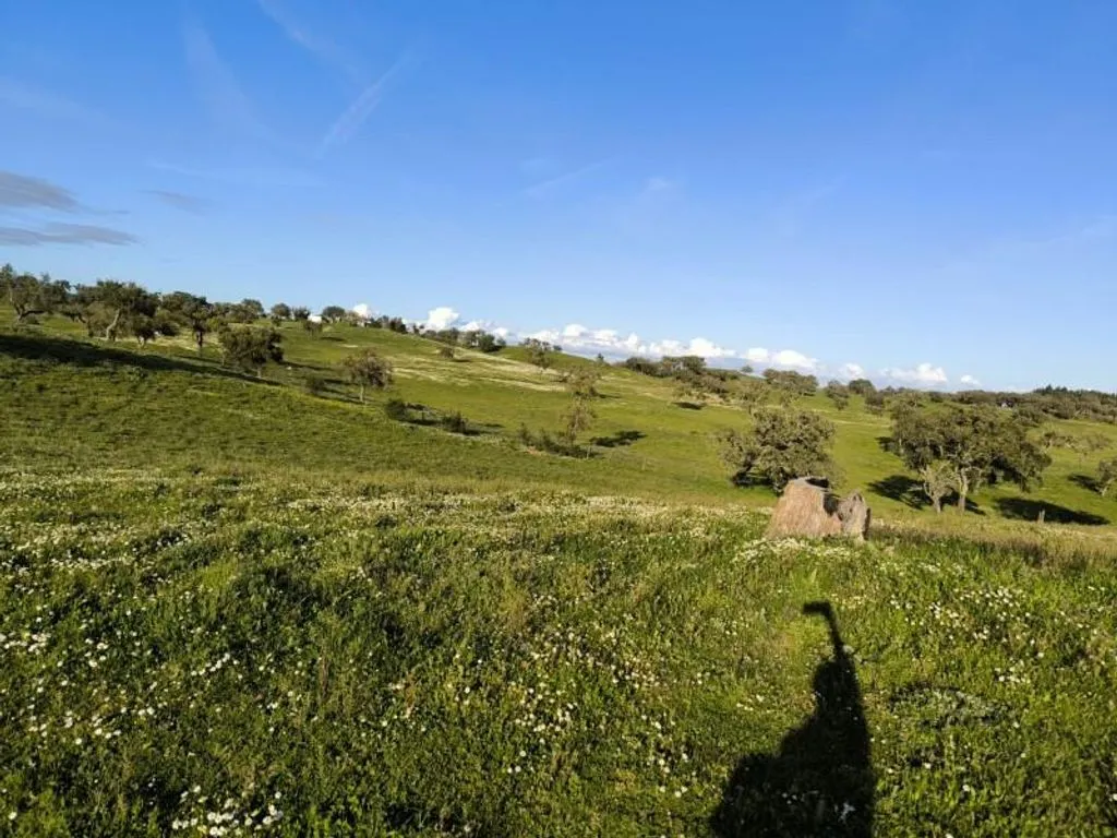 Aed - Luxury Farmhouse with Development Potential in Alentejo