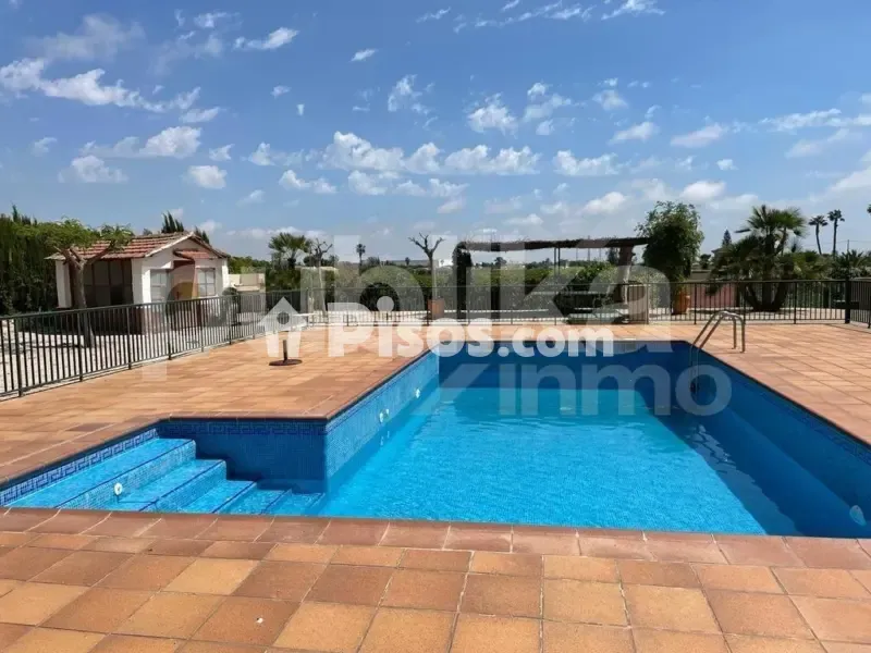 Piscine - Historic Villa with Archaeological Setting in Elche