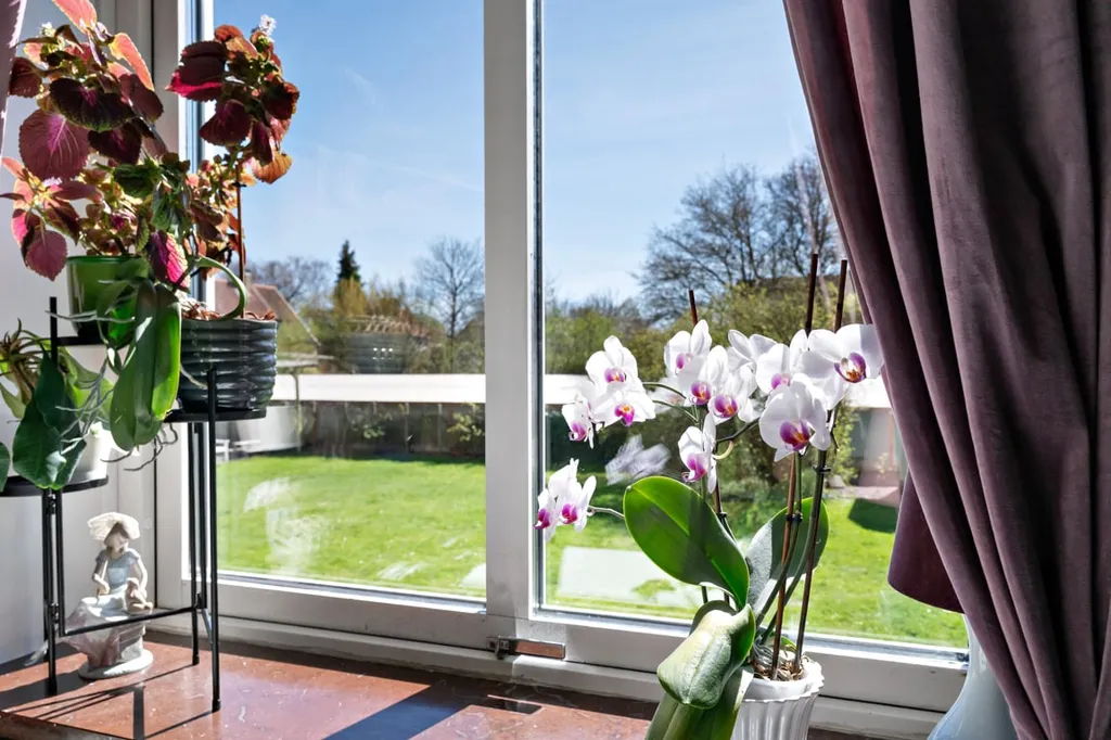 Toad - Spacious Two-Bedroom with South-Facing Balcony in Central Area