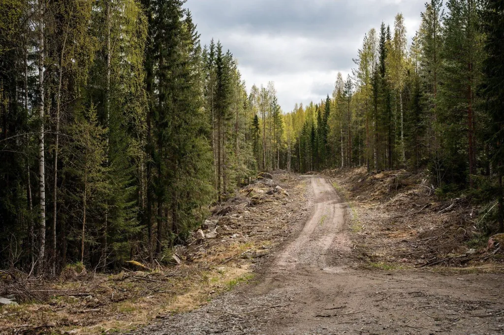 Jardin - Forest Farm with Timber Rights in Östra Jämtland
