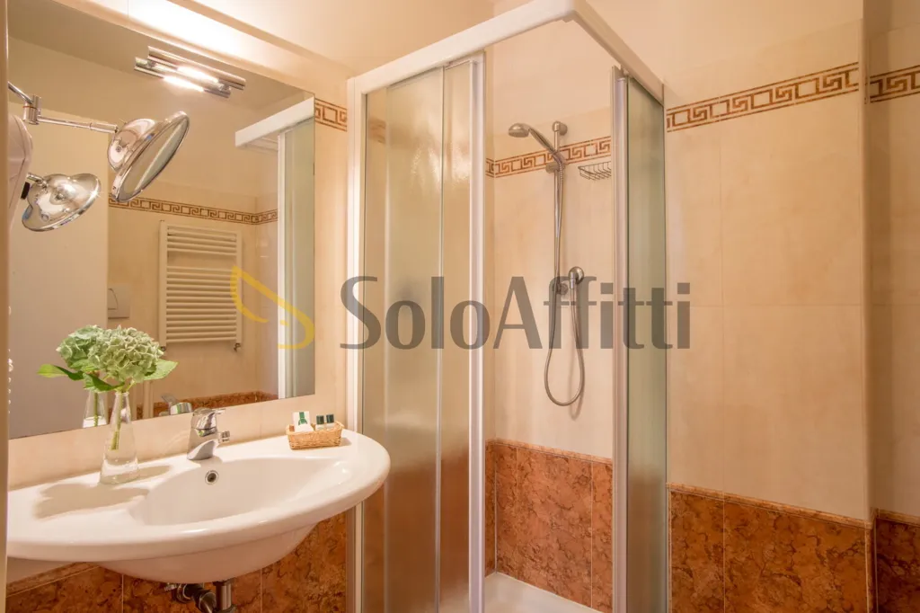 Salles de bain - Furnished Villa Room in Grottaferrata