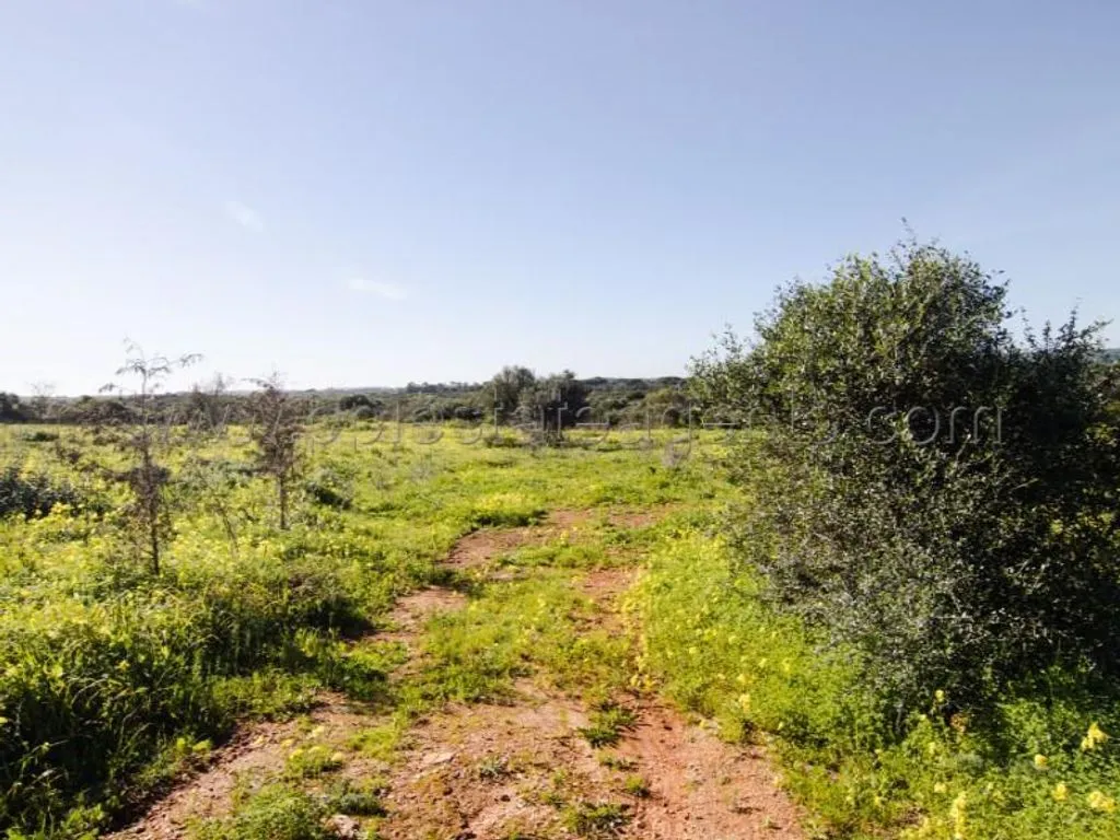 Garden - Luxury Villa with Pool in Lagos Countryside