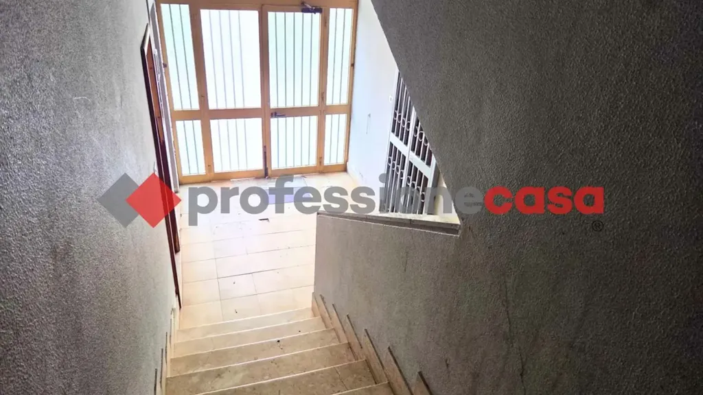 Toad - 2-Bedroom Apartment near Piazza Risorgimento, Catania