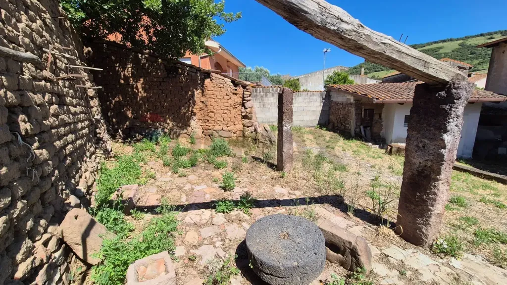 Aed - Rustic House with Olive Grove in Allai