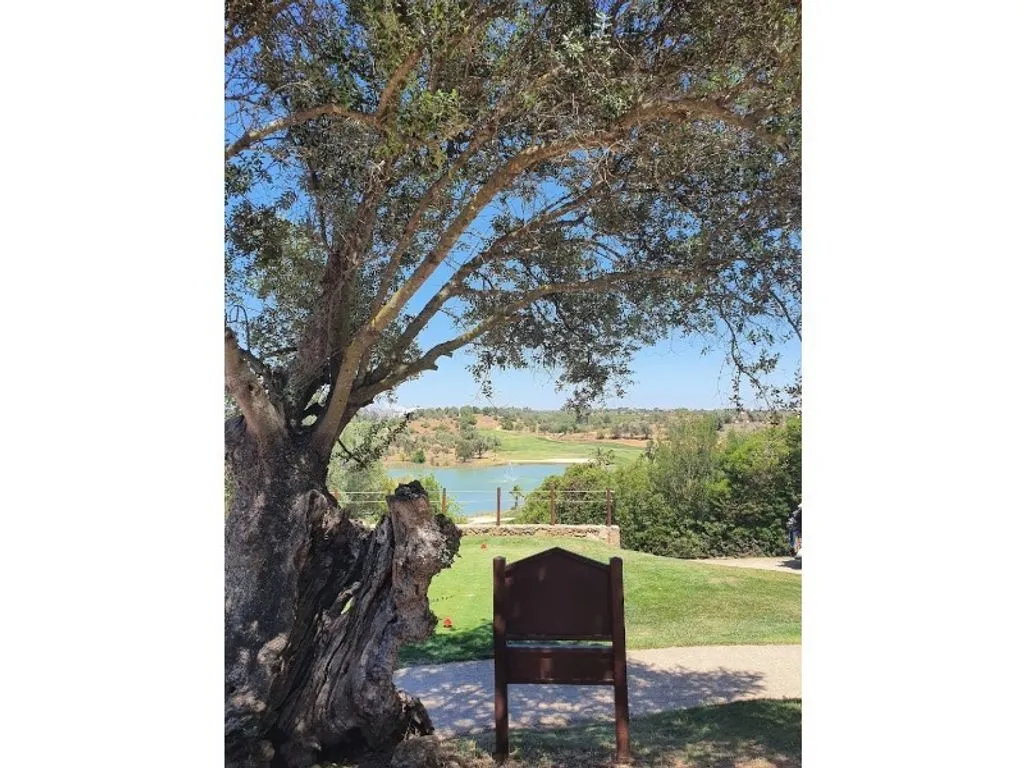 Jardin - Luxury Villa with Pool in Silves