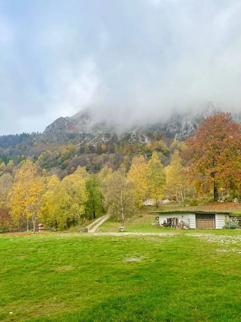 Mountain Refuge with Terrace in Piani Resinelli