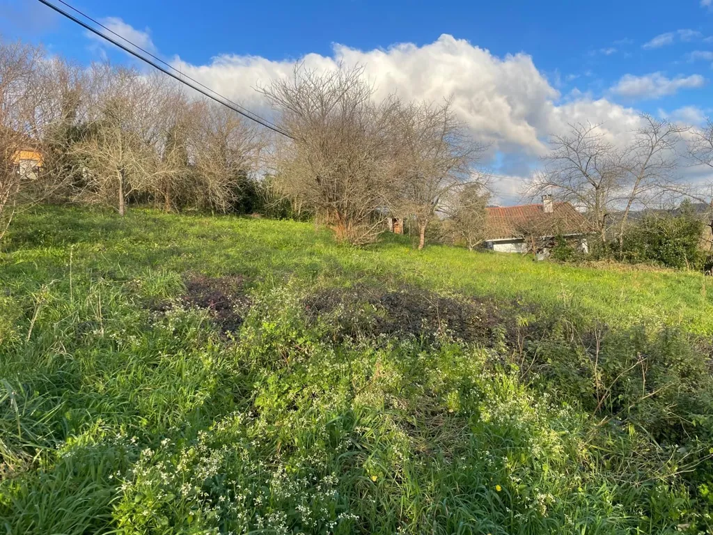 Garden - Chalet with Garden in Arrankudiaga