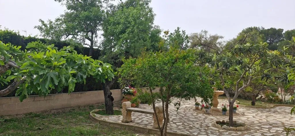 Jardin - Luxury Villa with Garden in Mutxamel
