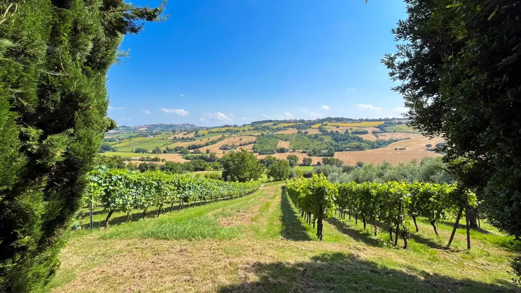 Jardin - Rustic Cottage with Agricultural Land in Osimo