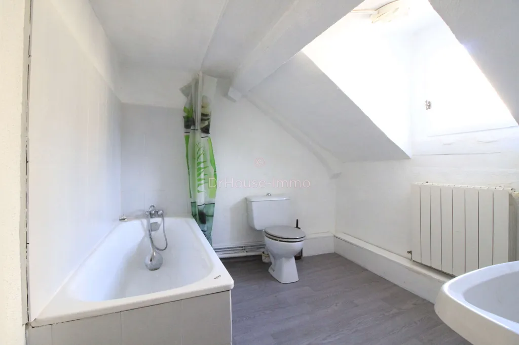 Vannitoad - Versatile House/Shop in Central Location