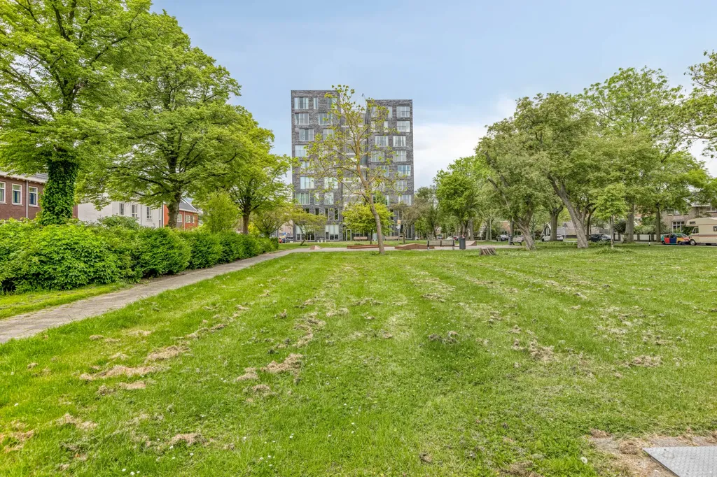 3-toaline korter asukohas Rotterdam