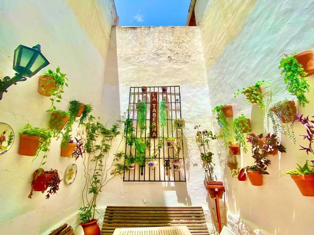 Aed - Historic Boutique Hotel in Jávea's Old Town