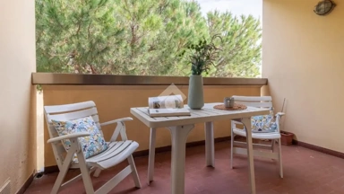 Terrasse - Quadruplex with Sea View in Pinarella