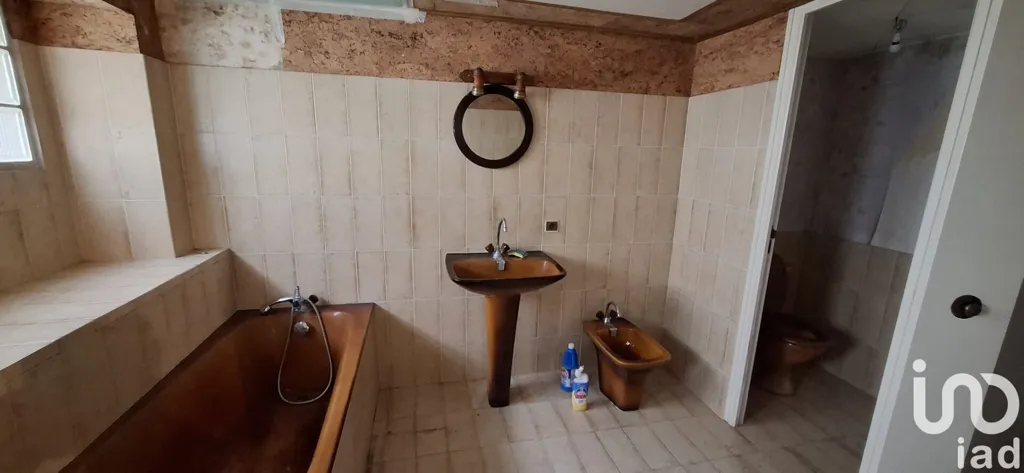 Bathrooms - Restoration-Ready Stone House in Loches-sur-Ource